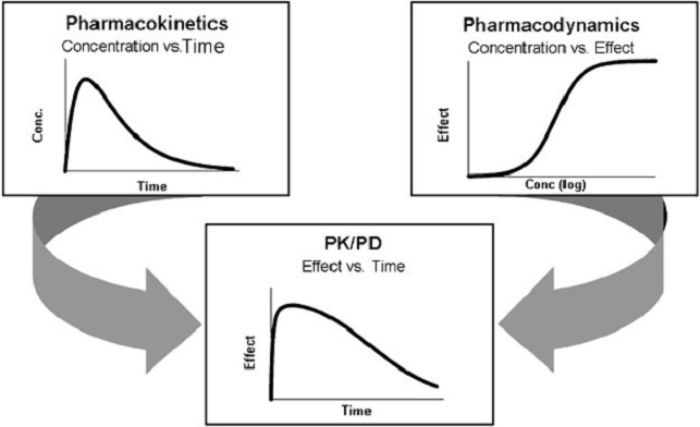 PK PD Analysis